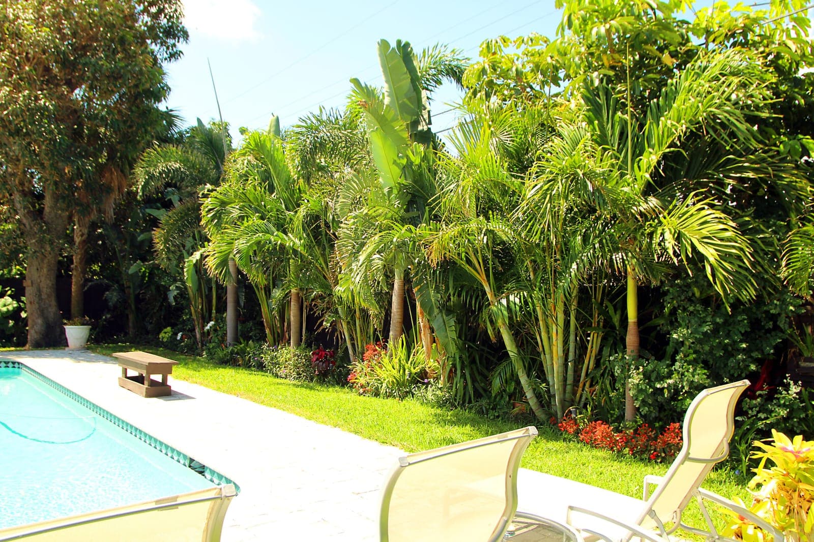 921 NE 27th Avenue - Privacy fence, southwest